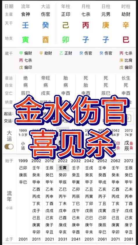 金水命格|八字喜金水：健康養生攻略